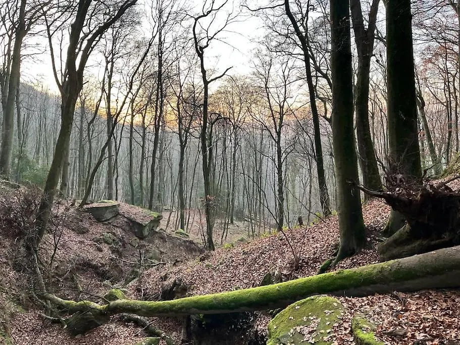 Maison Petite Suisse Luxembourg Berdorf 0*,